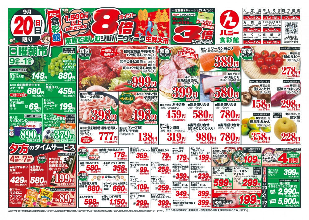 今日のチラシ